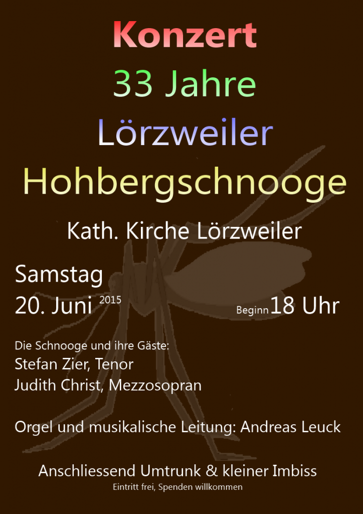 Plakat für Konzert am 20.6.2015